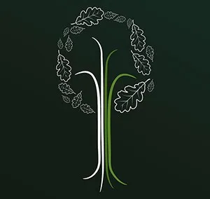 bespOak Solutions