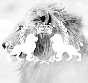The White Lion Foundation